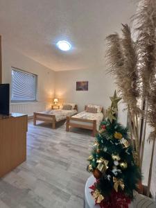 萨拉热窝Apartment Rea Ilidža 2的一间设有两张床的房间,里面有一棵圣诞树