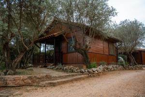 阿尔克萨尔Camping Alquézar的小木屋设有门廊和树