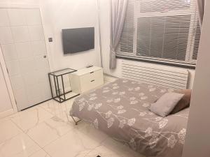 Elmers EndLuxury studio apartment, Beckenham的一间卧室配有一张床和一台电视