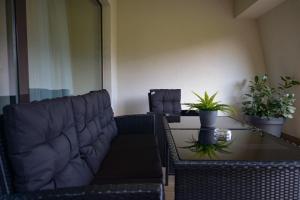 波亚纳布拉索夫Elexus Apartments Poiana Brasov的客厅配有沙发和植物桌子