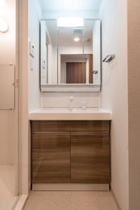 大阪Apartment Hotel 11 Shinsaibashi III的一间带水槽和镜子的浴室