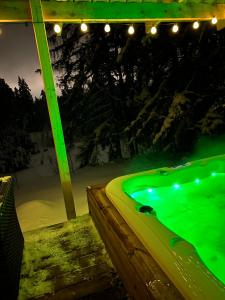 Tammemäe Spa Lodge的屋顶下带绿色灯光的热水浴池
