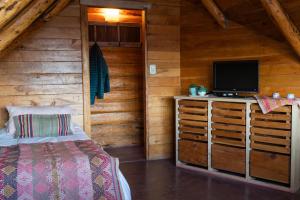 Lago FutalaufquenPueblo Alto Lodge的小屋内设有一间带床铺和电视的卧室