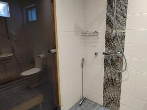 耶姆赛Villa IRIS 4, Himos的带淋浴、卫生间和盥洗盆的浴室