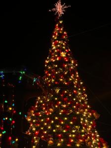 下博克特Casa familiar en Boquete的一大棵圣诞树在晚上点亮