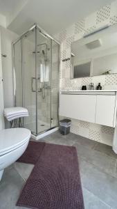 滕诺Garda View Apartment的带淋浴、卫生间和盥洗盆的浴室
