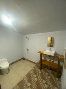 森纳儒Poetri Bungalow & Restaurant的一间带卫生间和水槽的浴室