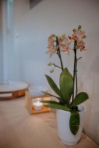 东伦敦Lavender BnB的白色花瓶,桌子上放着植物