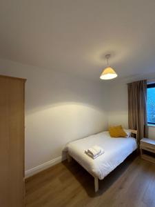沃特福德City Pulse Apartment的一间卧室配有一张带灯和窗户的床