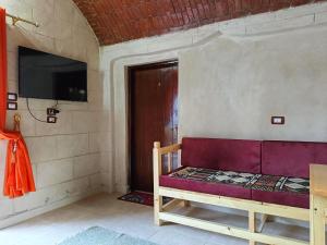 阿斯旺ABU Guest House的一间配有沙发的房间和墙上的电视