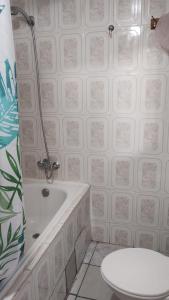 伊基克Casa interior Playa Brava的带浴缸和卫生间的浴室。
