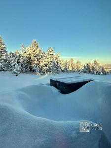 冬天的New cabin near X Country ski trails at Blefjell with Jacuzzi