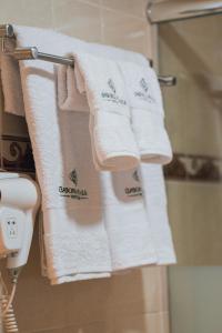 普诺Casona Plaza Hotel Puno的浴室内架上一组毛巾