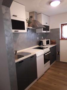 卢斯Chalet Brložnica pod Veliko planino的厨房配有白色和灰色的橱柜和水槽