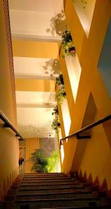 基布多HOTEL BOHO BOUTIQUE的天花板上种植了植物的建筑的楼梯
