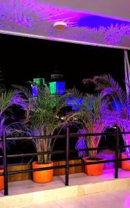 基布多HOTEL BOHO BOUTIQUE的紫色灯室里的盆栽植物群