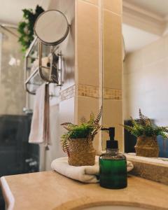 圣地亚哥Yogi hostel boutique的浴室水槽设有肥皂和两株植物