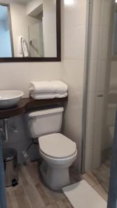 麦德林HOTEL A & A SANTA ALEJANDRIA的一间带卫生间、水槽和镜子的浴室