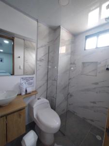 麦德林HOTEL A & A SANTA ALEJANDRIA的一间带卫生间和玻璃淋浴间的浴室