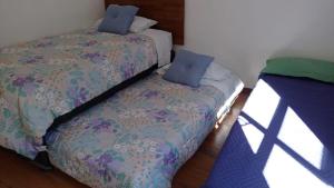 瓦尔迪维亚Valdivia Tralcao Lodge 2的一间卧室配有两张带蓝色枕头的床