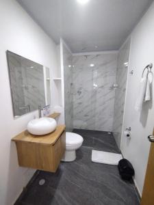 麦德林HOTEL A & A SANTA ALEJANDRIA的一间带水槽、卫生间和淋浴的浴室