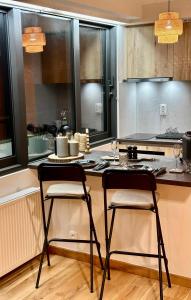 奥斯坦德Le Studio Grimaldi的厨房配有厨房柜台上的两把椅子