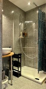 奥斯坦德Le Studio Grimaldi的带淋浴和盥洗盆的浴室