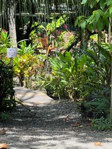 希门尼斯港La Palapa Hut Nature Hostel的种有植物和木人行道的花园