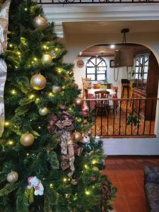 瓦斯卡坎波Casa de campo Huasca的屋 ⁇ 上的圣诞树