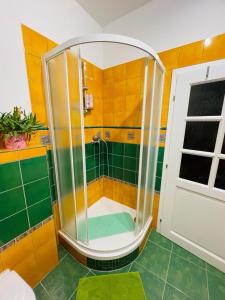 梅图耶河畔特普利采Apartmán U Splavu的浴室设有绿色和黄色瓷砖淋浴。