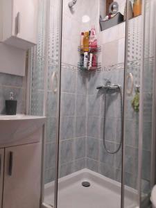 弗拉西克Apartman Royal Vlašić的浴室里设有玻璃门淋浴