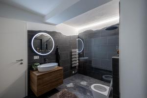 DierikonVisionary Hospitality - Big Premium Loft with View, Washer, Parking, Kitchen, Tub的一间带水槽、卫生间和镜子的浴室