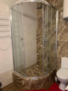 基辅ObolonSky的一间带卫生间的浴室内的玻璃淋浴间
