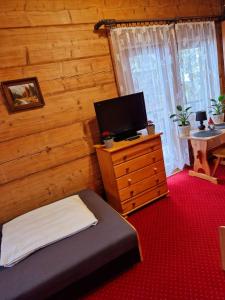 布科维纳-塔钱斯卡Bukovina Concept Mountain的一间卧室配有一张床和一个带电视的梳妆台