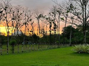 福尔图纳Casa Roble Fortuna的一片树木成荫的田野,日落
