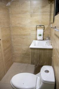 圣多明各Casa de Nini的一间带卫生间和水槽的浴室