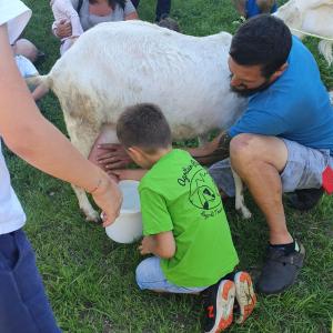 泰塞罗Agritur Maso Piasina的一只小男孩坐在一头奶牛旁边