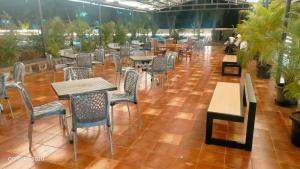 泰尼THE RIVIERA的一间空餐厅,配有桌椅和植物