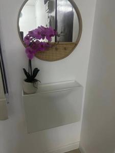 吉隆坡Iris Homestay @ Taman Melati的墙上的镜子,有盆栽植物和花
