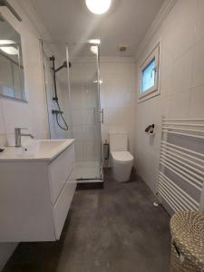 羊角村Resort Venetie Chalet nr.42的带淋浴、盥洗盆和卫生间的浴室