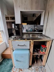 海尔许霍瓦德bnbheerhugowaard的一间带水槽和冰箱的小厨房