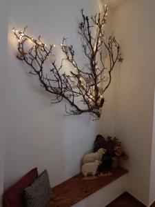 阿鲁卡斯Casa Mama Fela的树枝,墙上有灯