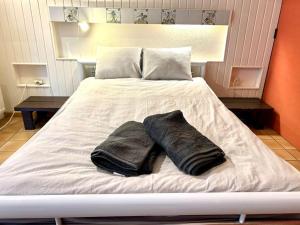 NiederanvenSkyview Studio Peaceful Retreat near Luxemburg Airport的一张带两个枕头的白色床