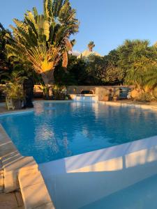 圣勒Residence Les Lataniers的一个棕榈树背景的大型游泳池