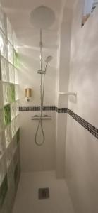 塔维拉le Boucanier的白色的浴室设有淋浴和淋浴头