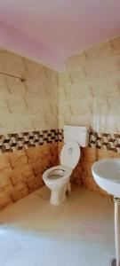 西姆拉Akash Homestay的一间带卫生间和水槽的浴室