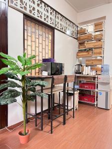 清迈Allred Hostel Chiangmai的办公室,桌子和室内植物