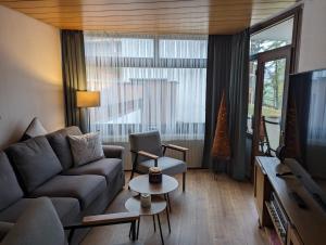 施卢赫湖Ferienwohnung Schwarzwaldlust的带沙发和电视的客厅