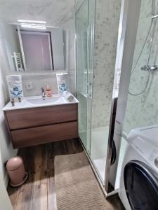 马赛Appartement T2 Prado Chanot Plage Marseille的一间带水槽和淋浴的浴室