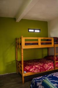 瓦哈卡市Casa Biznaga的绿色墙壁客房中的两张双层床